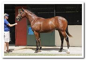Yearling