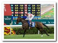 Joyful Winner