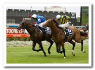 Redoute's Dancer