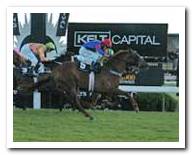 Princess Coup