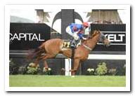 Princess Coup