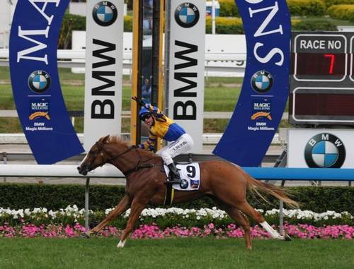 2011 Winner BMW Magic Millions 2YO Classic