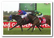 2012 Pierro