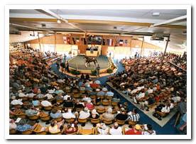 Adelaide Sale