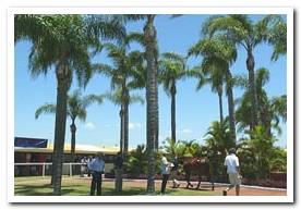 Gold Coast Sale