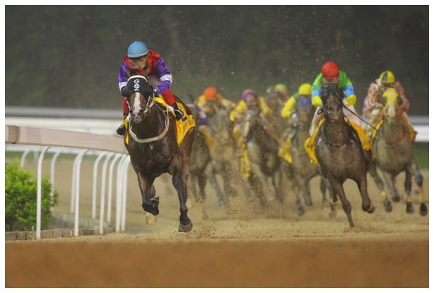 Golden Star races clear Golden Star races clear