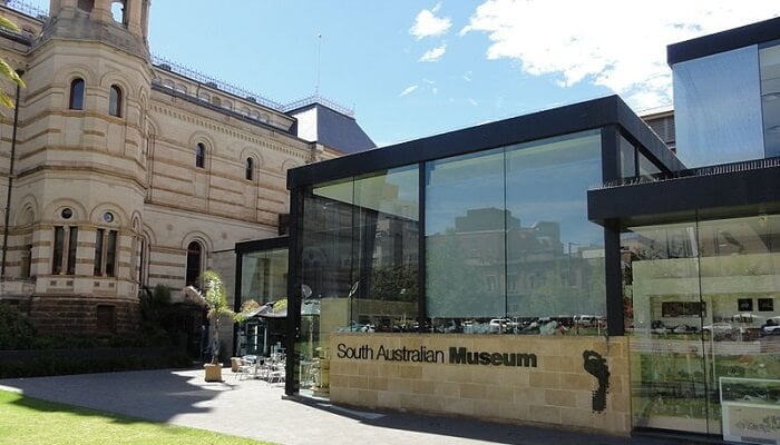 South Australian Museum