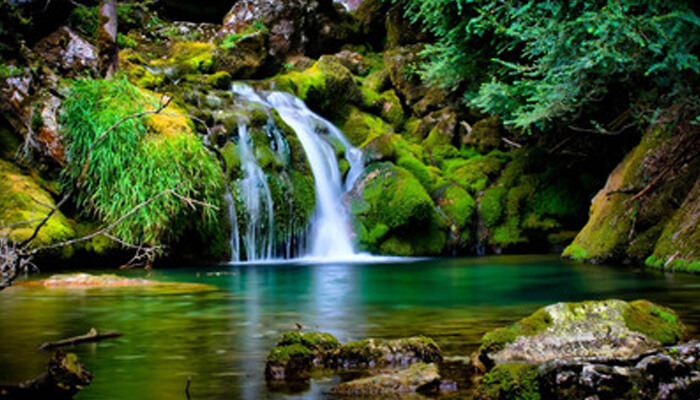 Lamington National Park