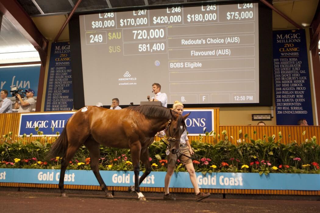 Choice Yearlings Star as Gold Coast Sale Soars