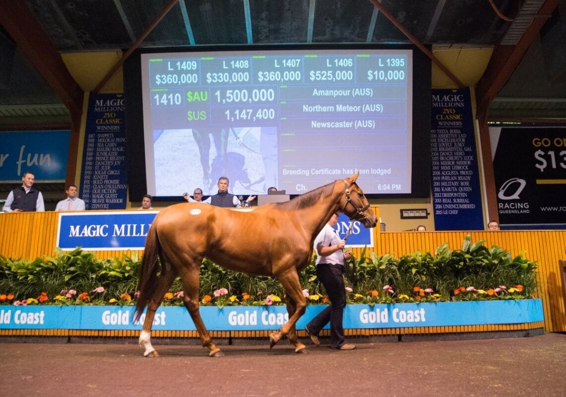 Amanpour Stars at National Broodmare Sale
