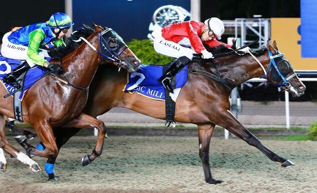 Adelaide Yearling Dashes to Singapore Bonus