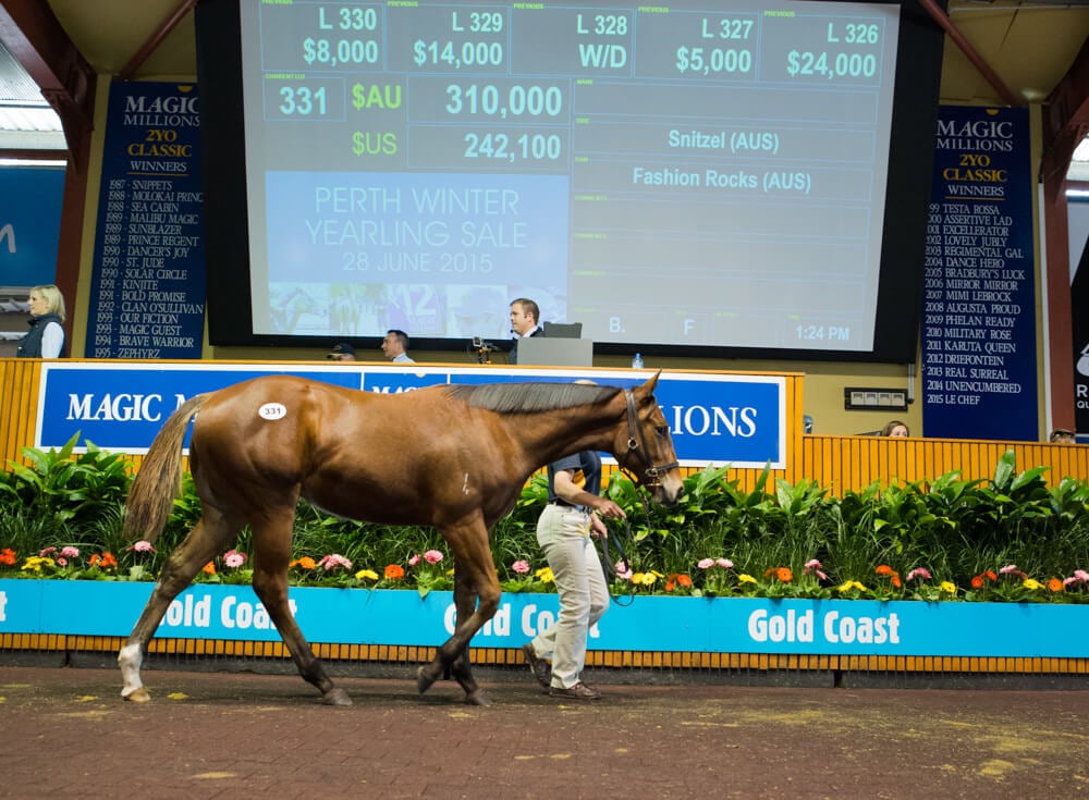 Snitzel Filly Tops Day Two of Record Breaking Weanling Sale