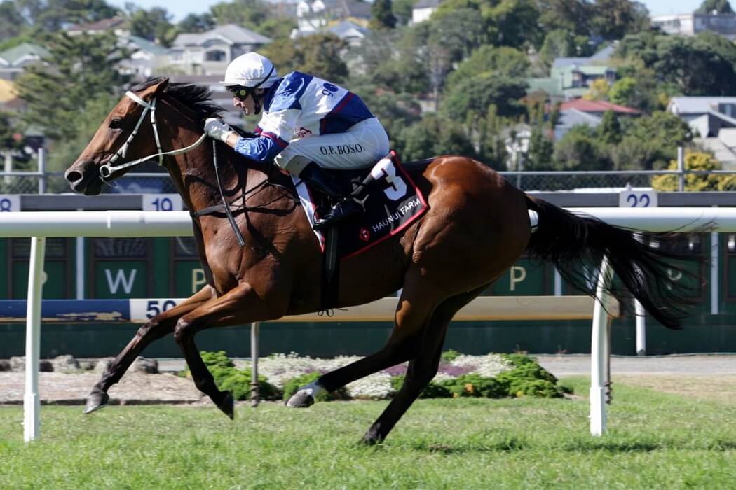 Star Kiwi Mares Join National Broodmare Supplementary