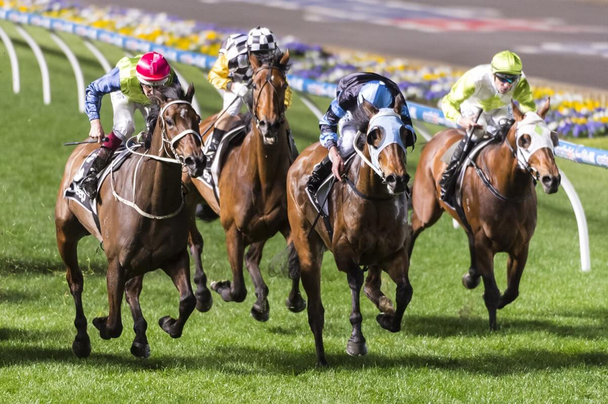 The Cleaner Crowned Tasmanian Horse of the Year