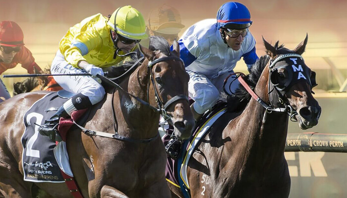 Real Quality in Perth Yearling Sale