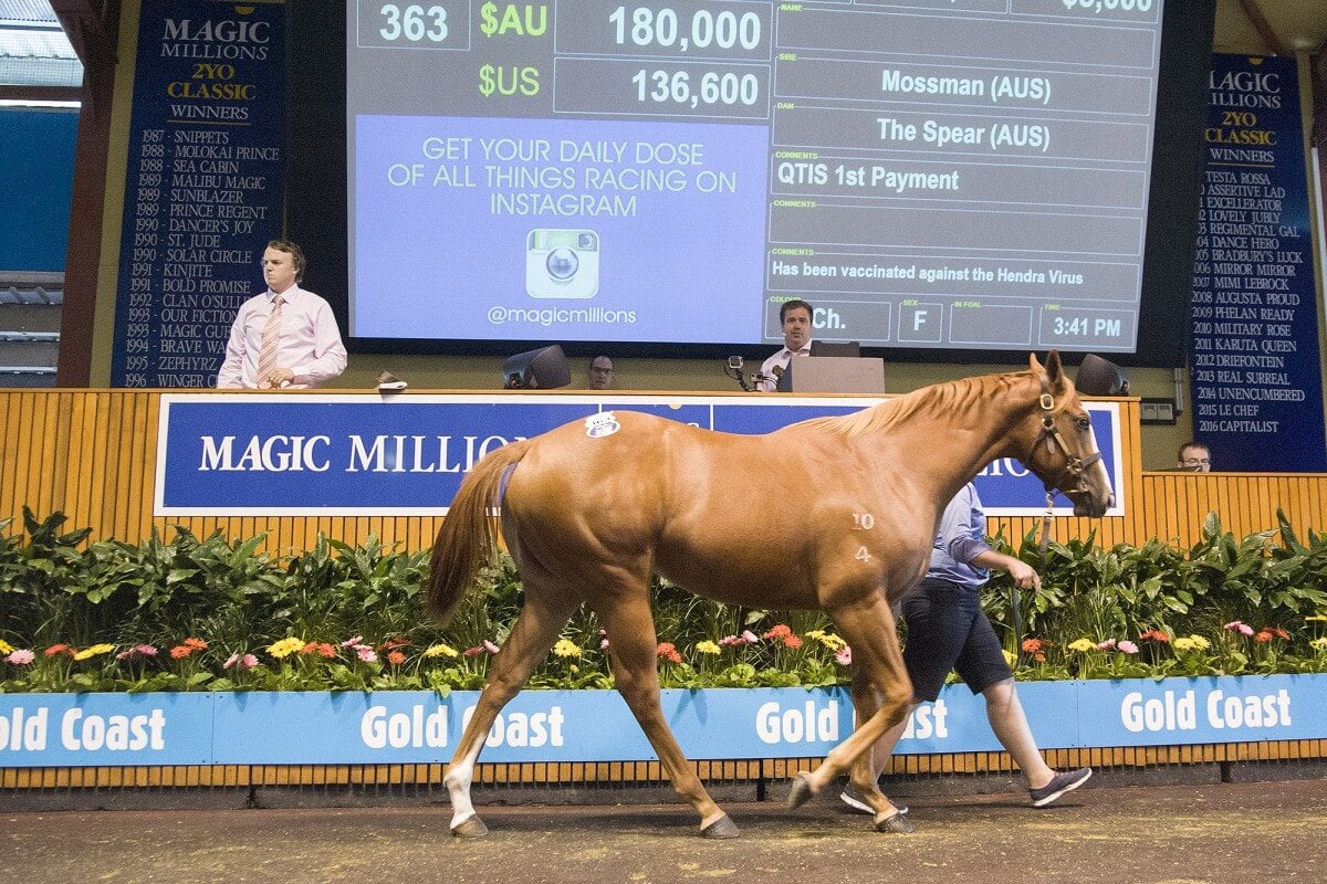 Mossman Filly Tops Gold Coast March Yearling Sale