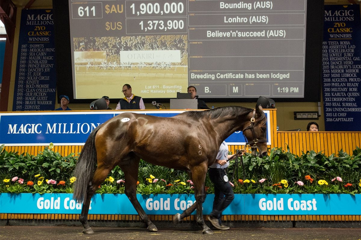 Bounding Tops Day One of National Broodmare Sale