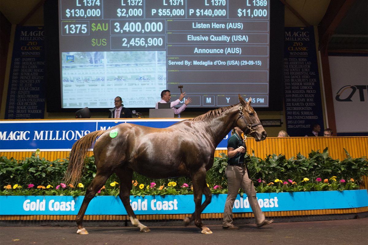 Star Producer Sets All Time Magic Millions Record