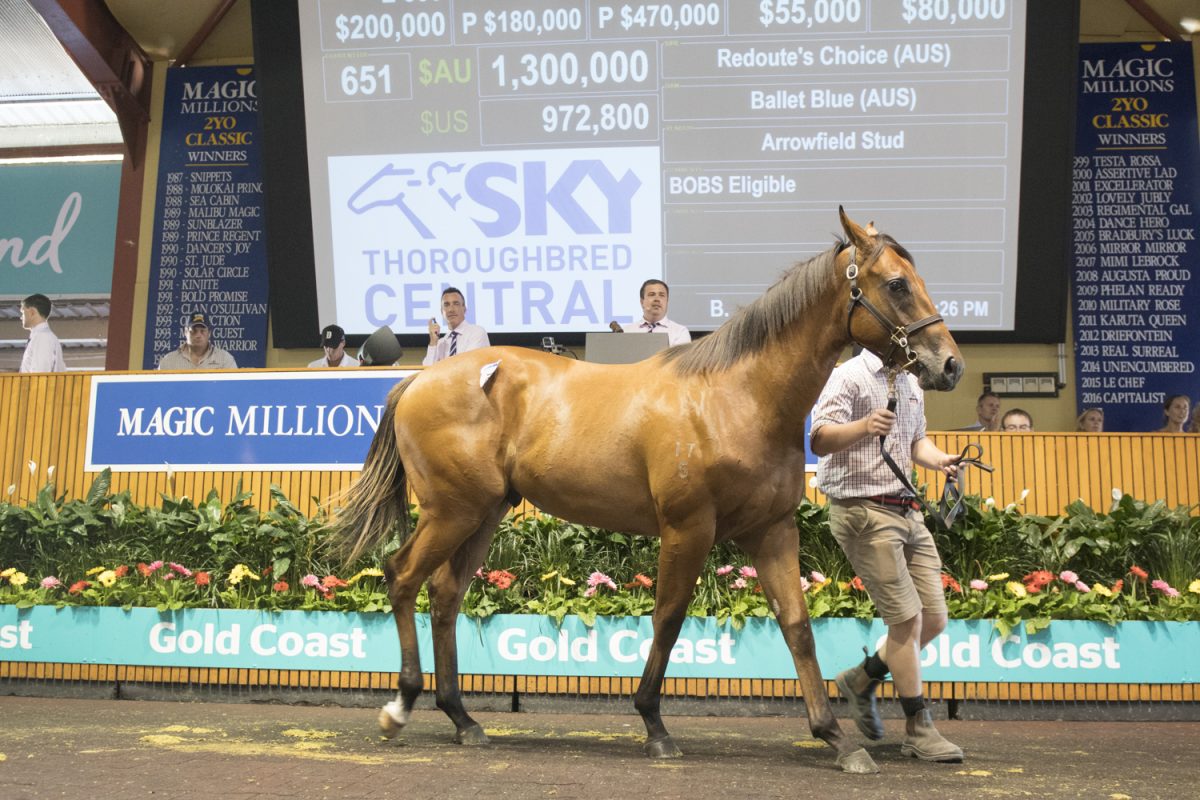 Redoute’s Choice Colt Stars on Day Three