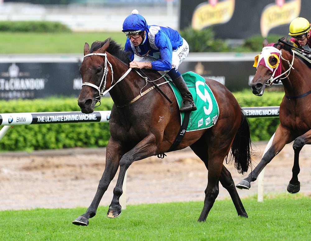 World’s Best Winx Does it Again