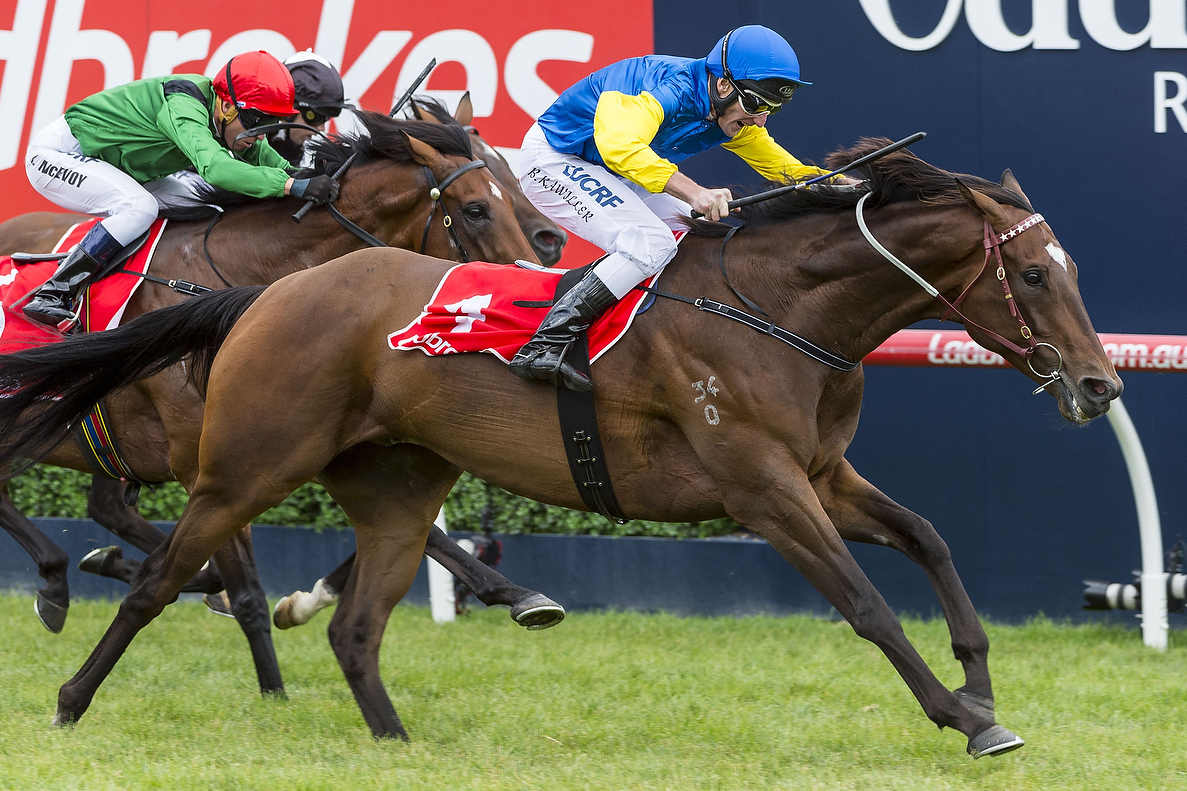 Black Heart Bart Simply Orr-some