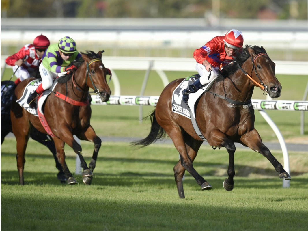 Secret Agenda Storms to Sangster Success