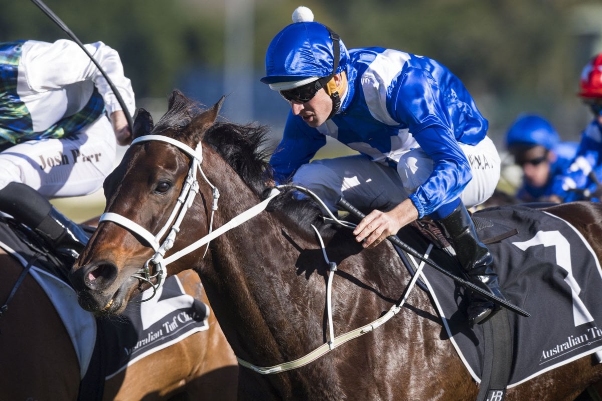 Winx Confirms Champion Status in Warwick Stakes