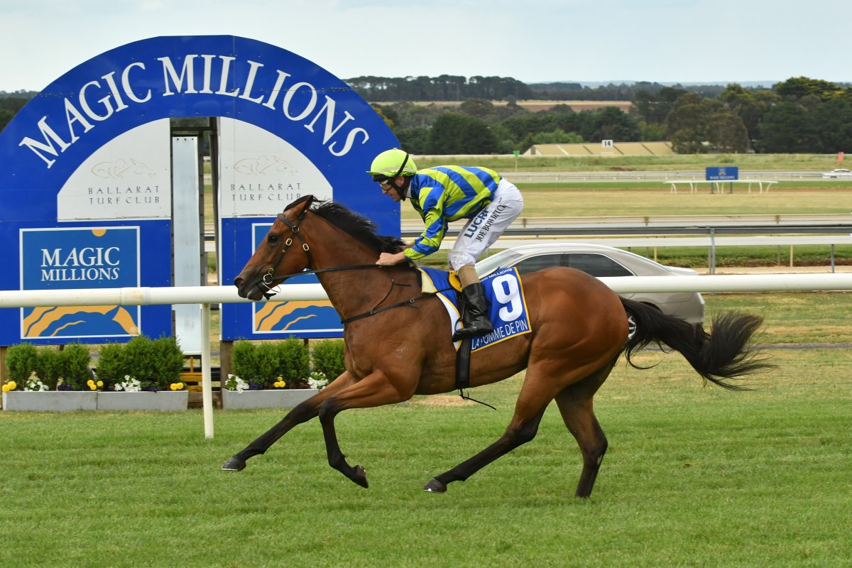 Adelaide Filly Romps Home in Clockwise Classic