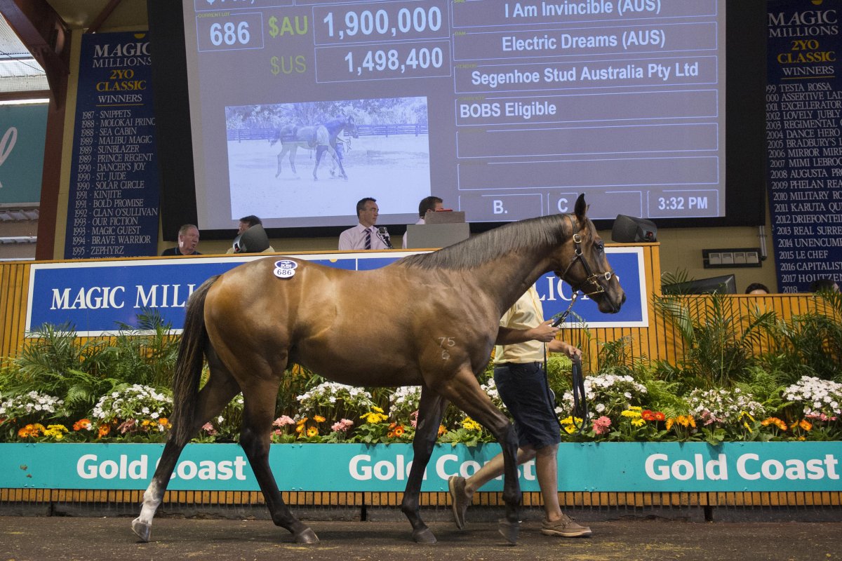 Five Million Dollar Lots Star on Gold Coast