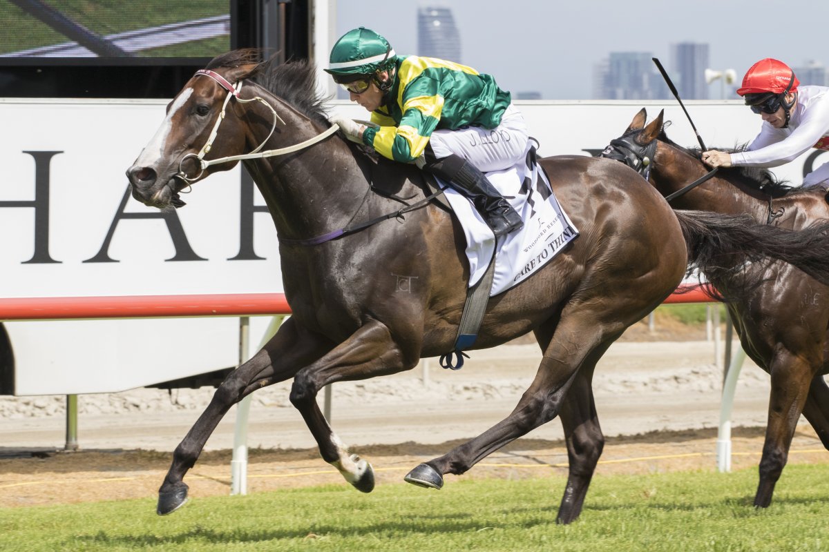 Care to Think’s Star Rises in MM Cup