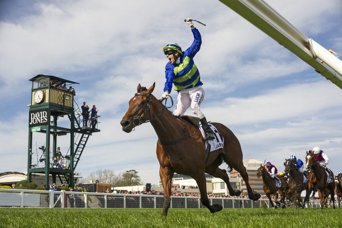 Superstar Jameka Supplemented to National Broodmare Sale