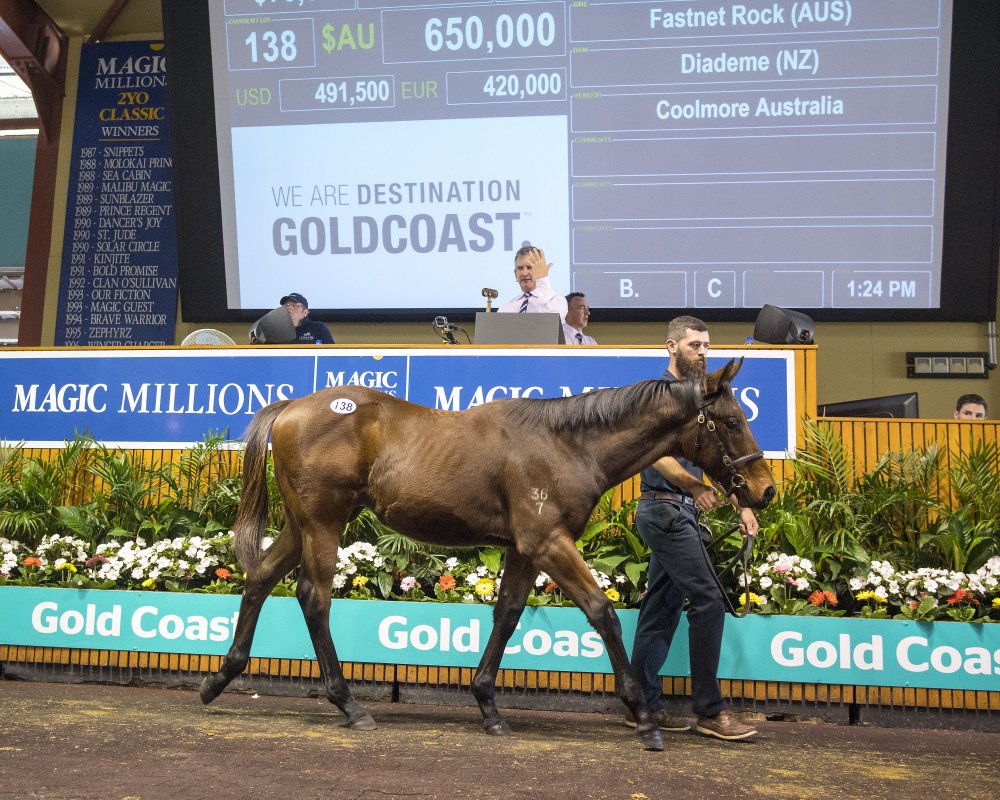Figures On the Rise at National Weanling Sale