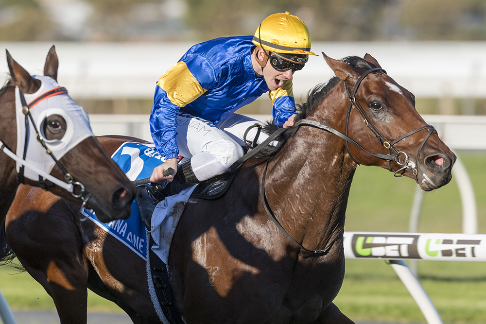 Group One Timing for National Sale Updates