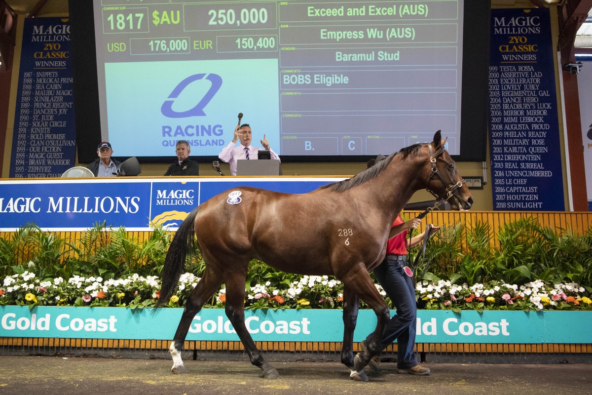 Exceed and Excel Colt Tops Day One of Yearlings