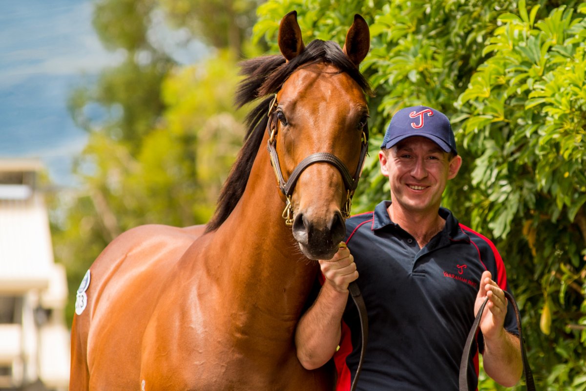 Entries Open for 2019 Magic Millions Yearling Sales