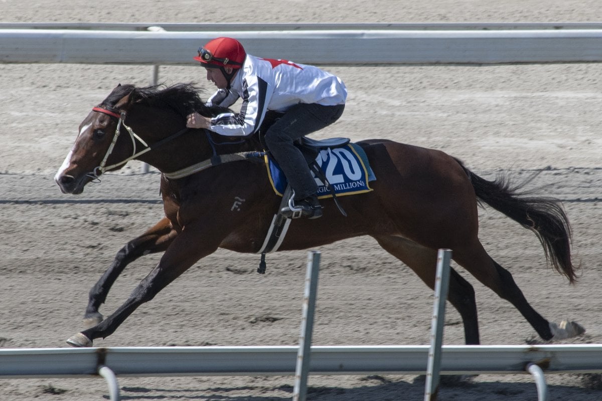 Top Prospects Breeze in Style on Gold Coast