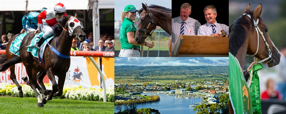 Tasmanian Yearling Catalogue Now Online