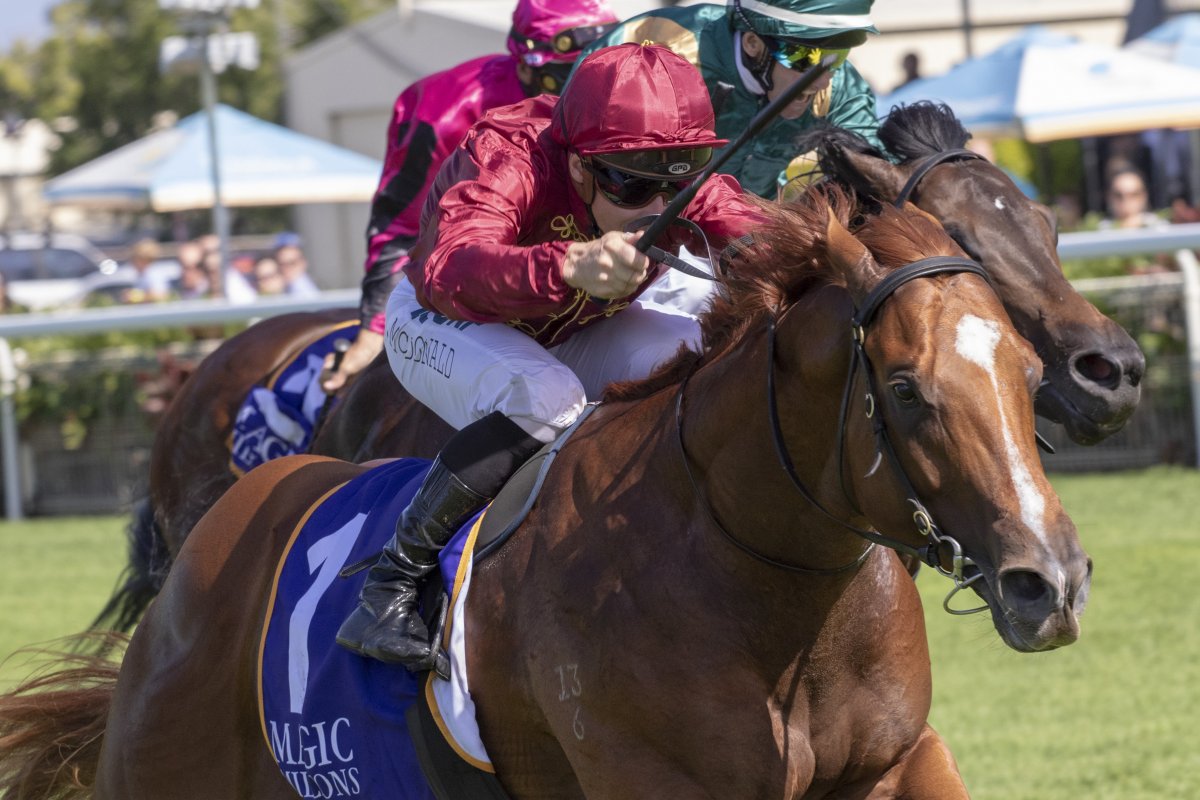 Sun City and Boomsara Star on Road to Magic Millions Day