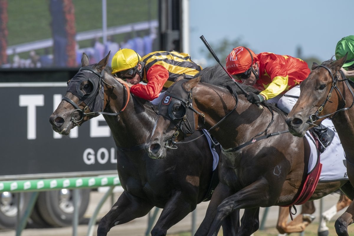 Boomsara Goes All the Way in Guineas Thriller
