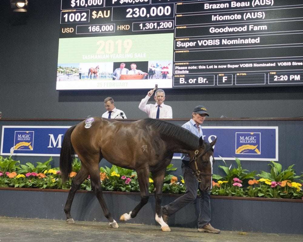 Brazen Beau Filly Tops Book Two on Gold Coast