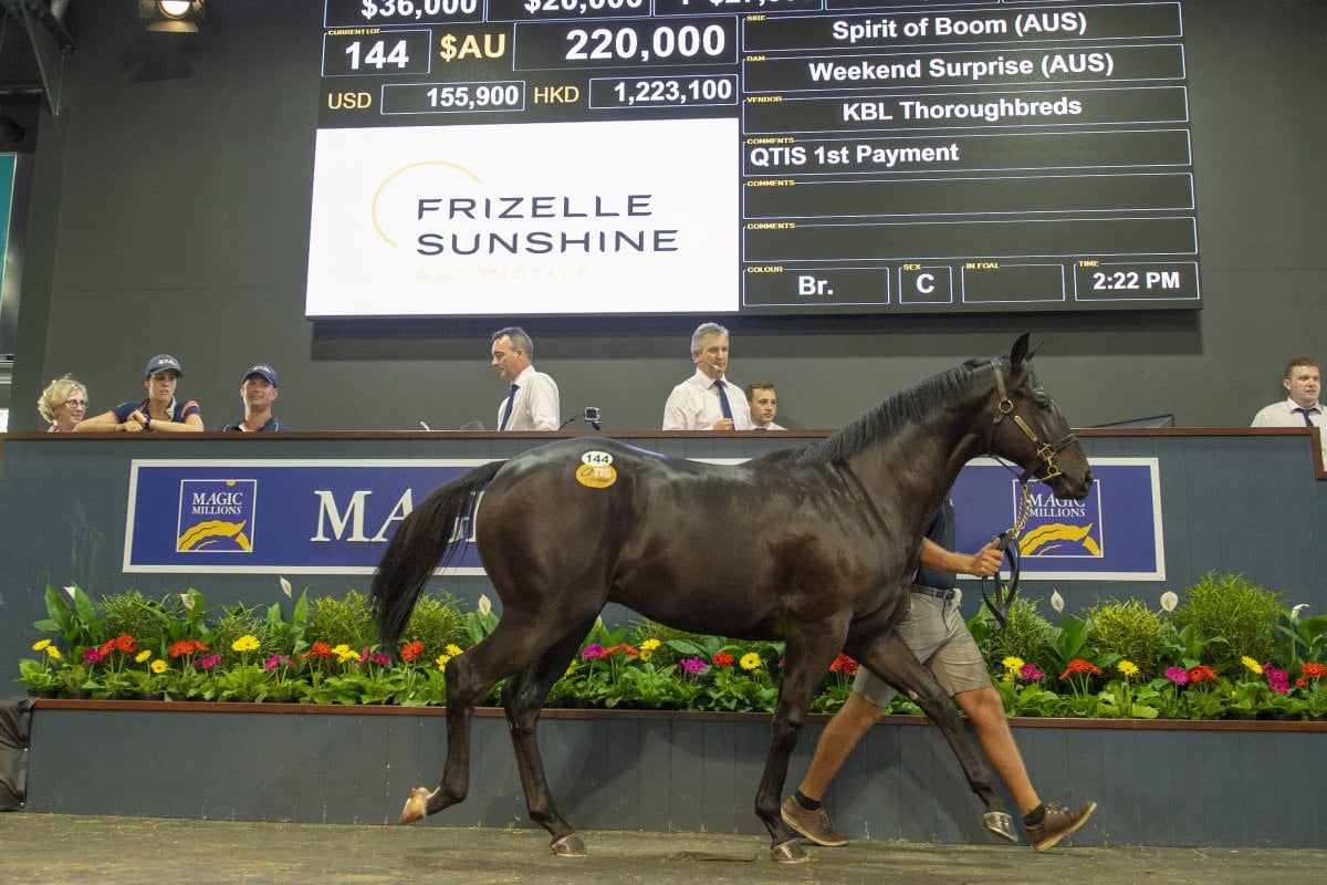 Spirit of Boom Colt Tops Day One at Gold Coast March