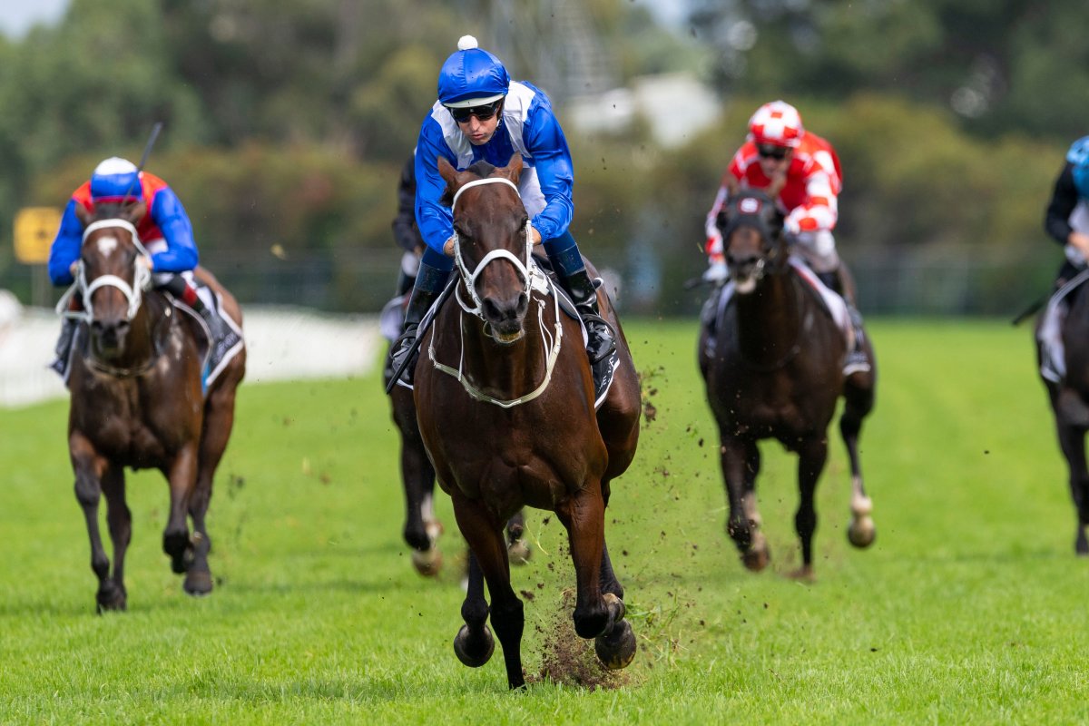 All Conquering Winx Makes it 32 Straight