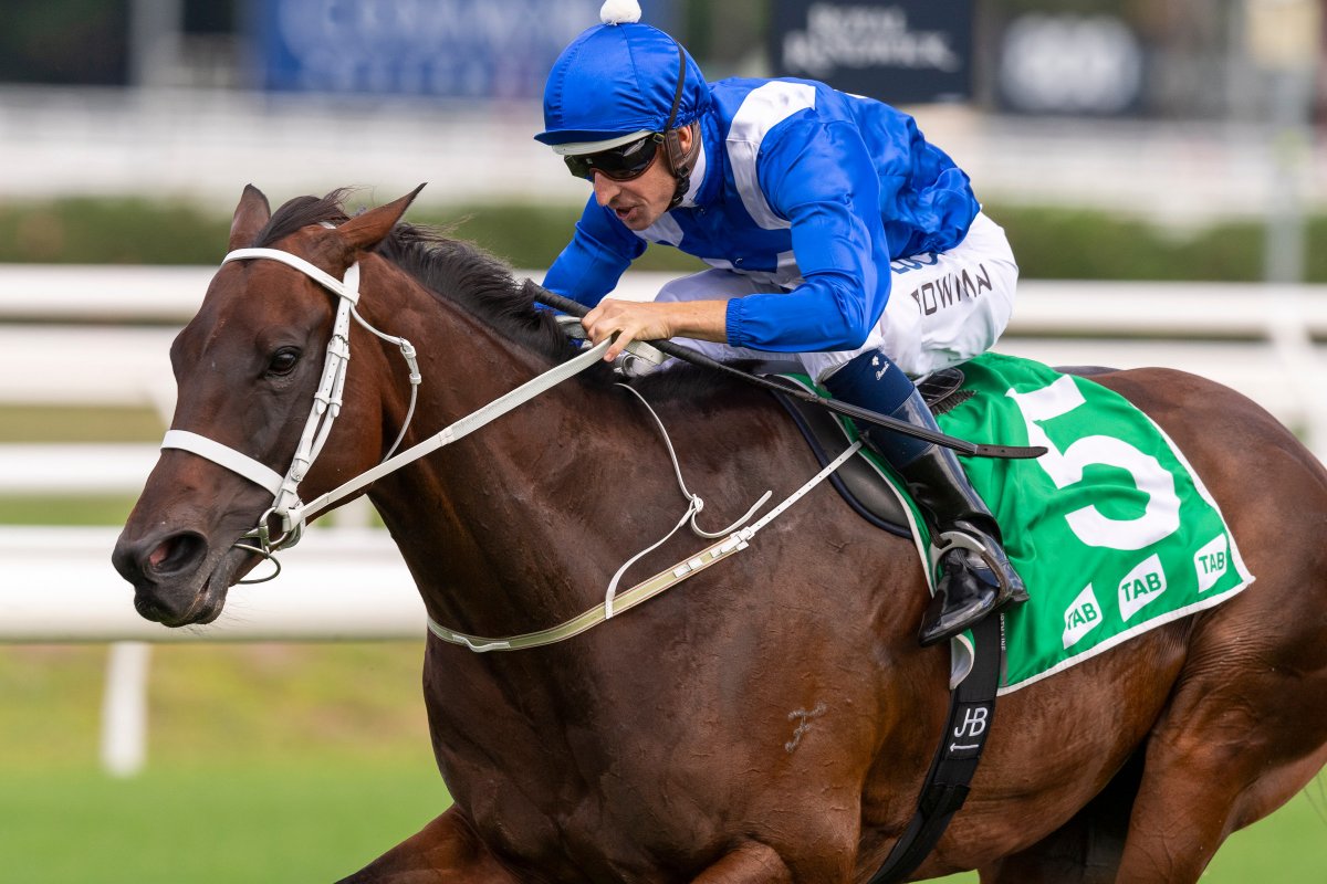 Winx – The World’s Greatest Ever Group One Champion