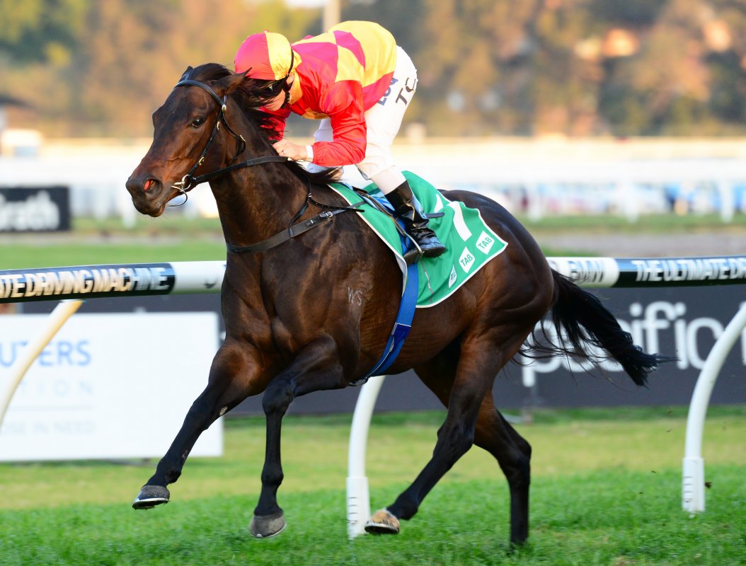Another Bonny Mare Joins Star Supplementary