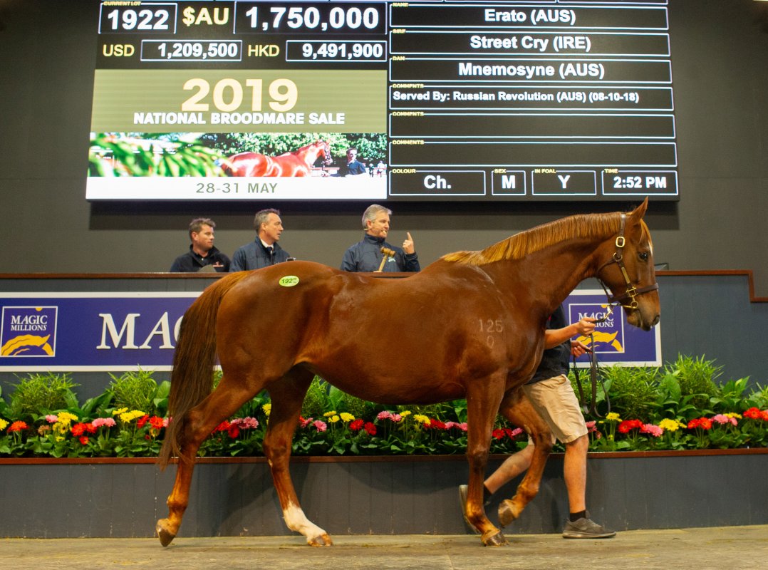 Lyre’s Dam Tops Final Day of National Broodmare Sale
