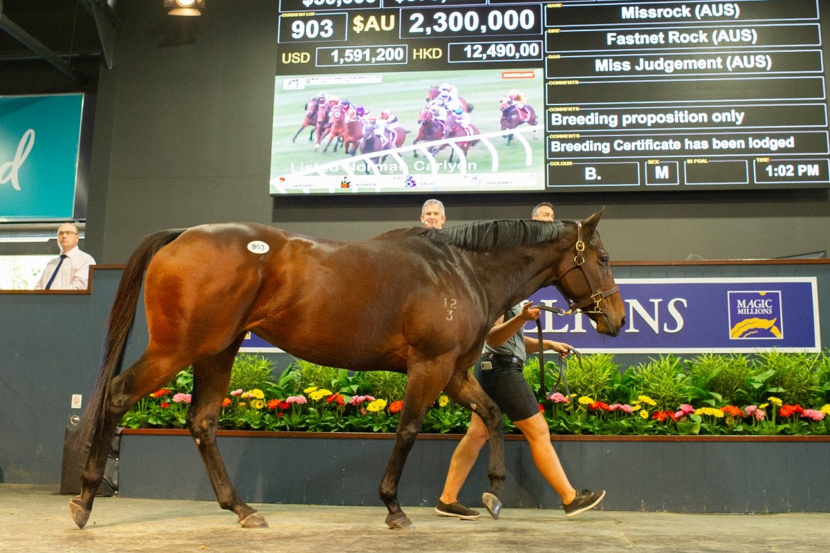 Missrock Tops Day One of National Broodmare Sale