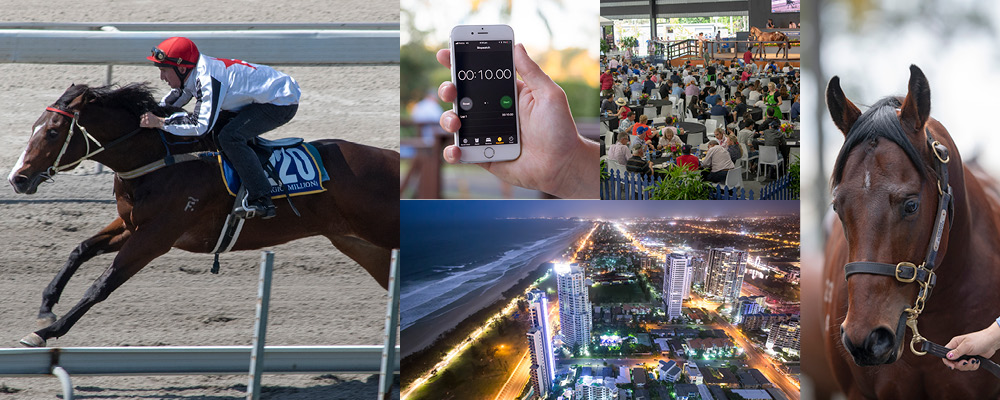 Catalogue Released for Gold Coast 2YOs in Training Sale
