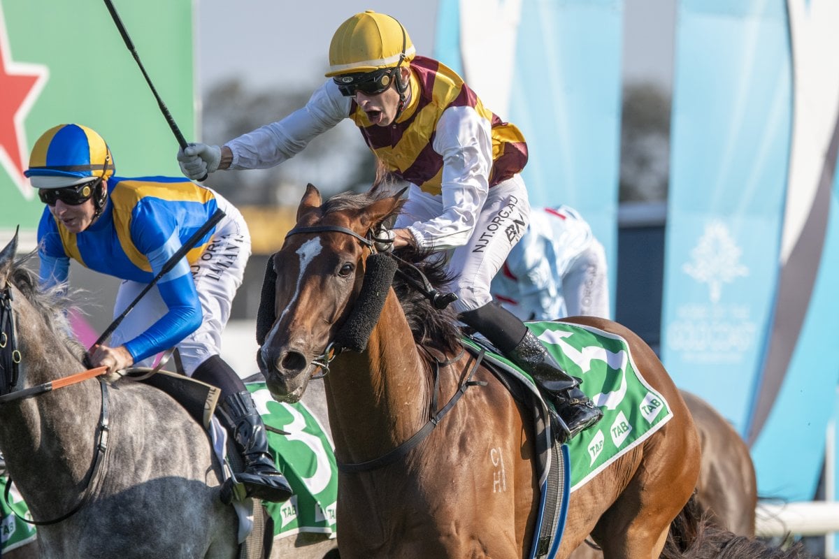 Rich Pay Day for A Man to Match