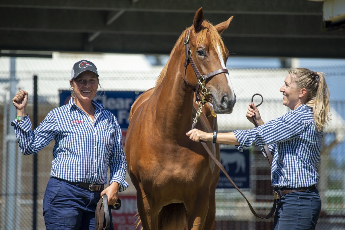 Pride of Dubai Filly Tops Gold Coast March Sale