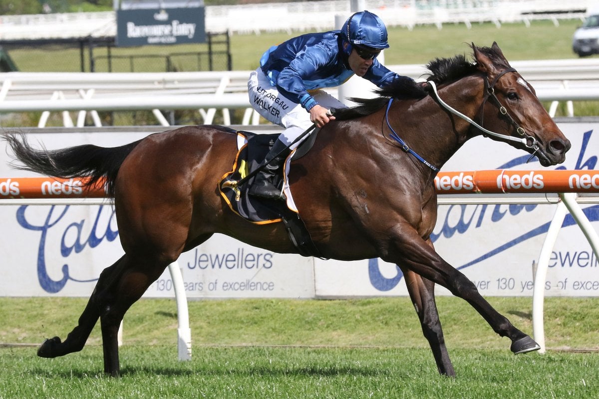 Odeum Sizzles to Thousand Guineas Success